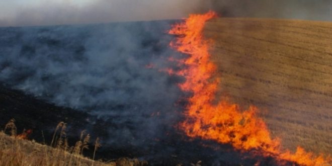 Ministria e Bujqësisë: Mos i digjni hamulloret - praktikoni qarkullimin bimor