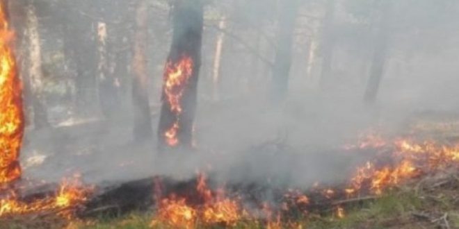 Lokalizohen zjarret në Komunën e Malishevës