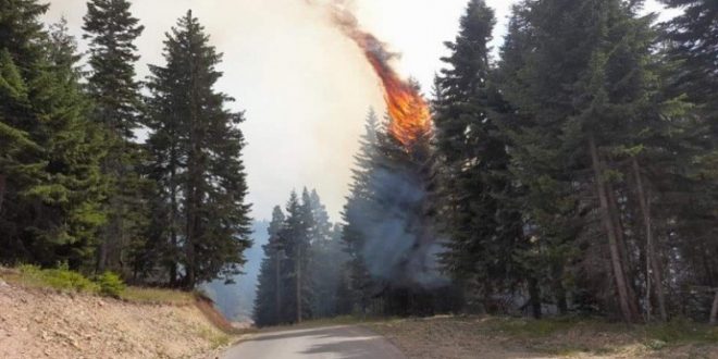 Agjencia e Menaxhimit Emergjent bën të ditur se numri i zjarreve është në rënie dhe situata është e menaxhueshme