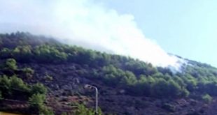 Zjarret po zgjerohen në Shqipëri ku pas Shëngjinit është përfshirë edhe Velipoja