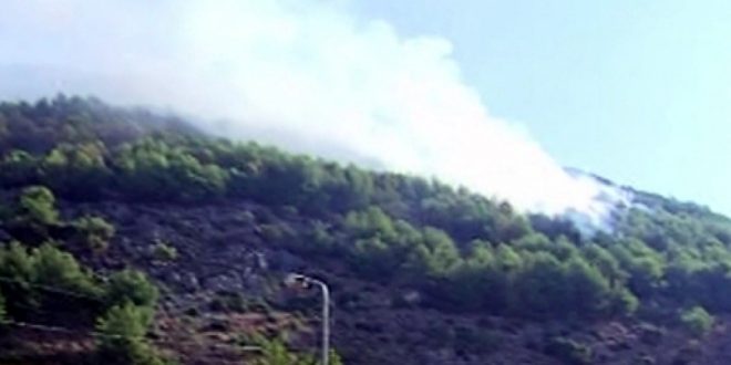 Zjarret po zgjerohen në Shqipëri ku pas Shëngjinit është përfshirë edhe Velipoja