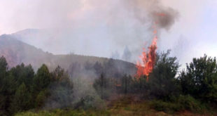 Ministria e Punëve të Brendshme u ka bërë thirrje qytetarëve të shmangin të gjithë shkaktarët e mundshëm të zjarrit