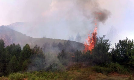 Ministria e Punëve të Brendshme u ka bërë thirrje qytetarëve të shmangin të gjithë shkaktarët e mundshëm të zjarrit