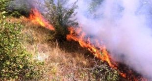 Zjarri përfshin pyjet e Marevcit dhe Butovcit
