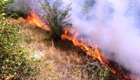 Zjarri përfshin pyjet e Marevcit dhe Butovcit
